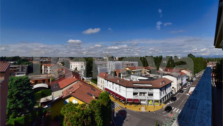 Vista